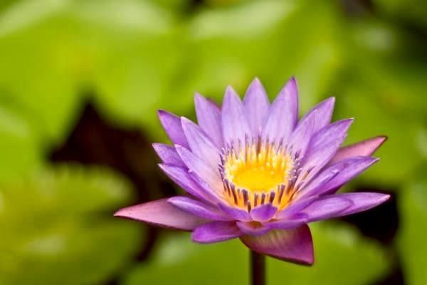 如何選擇導航系統(tǒng)：全面指南及排行榜分析