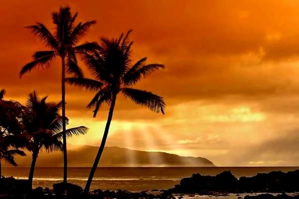 導航系統(tǒng)的全面解析：價格、分類、發(fā)展趨勢與未來如何