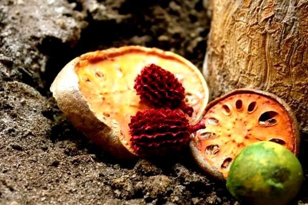 如何選擇最佳導(dǎo)航系統(tǒng)：全面排行榜及資料分析