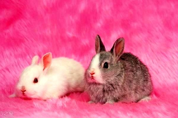 導(dǎo)航系統(tǒng)：什么？價(jià)格？怎么樣？政策解析