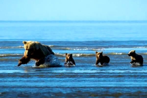 導(dǎo)航系統(tǒng)的全方位解析：定義、應(yīng)用、政策與未來前景