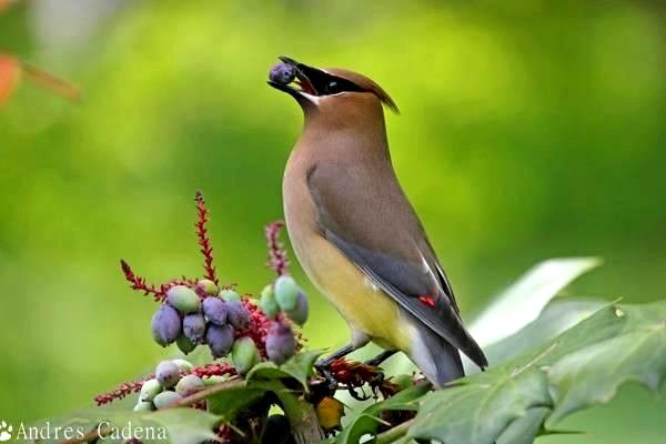 導(dǎo)航系統(tǒng)全解析：功能、國(guó)家、價(jià)格及市場(chǎng)趨勢(shì)