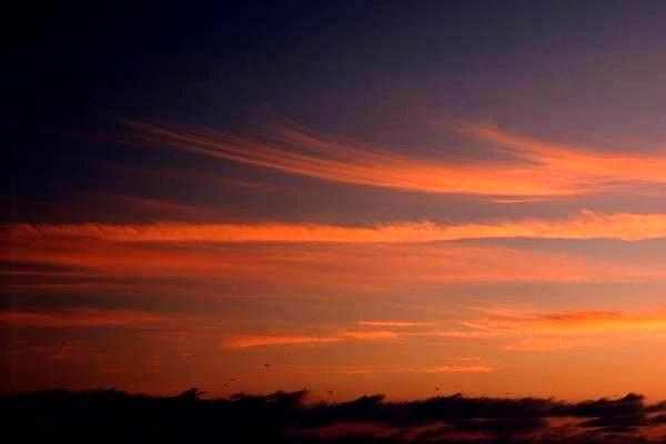 導(dǎo)航系統(tǒng)的全方位解析：價格、選擇、使用指南