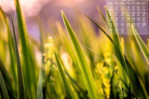 導(dǎo)航系統(tǒng)全解析：定義、應(yīng)用、政策與未來發(fā)展