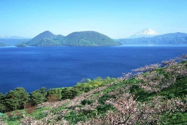 導(dǎo)航系統(tǒng)的全面解析：政策背景、價格及使用指南